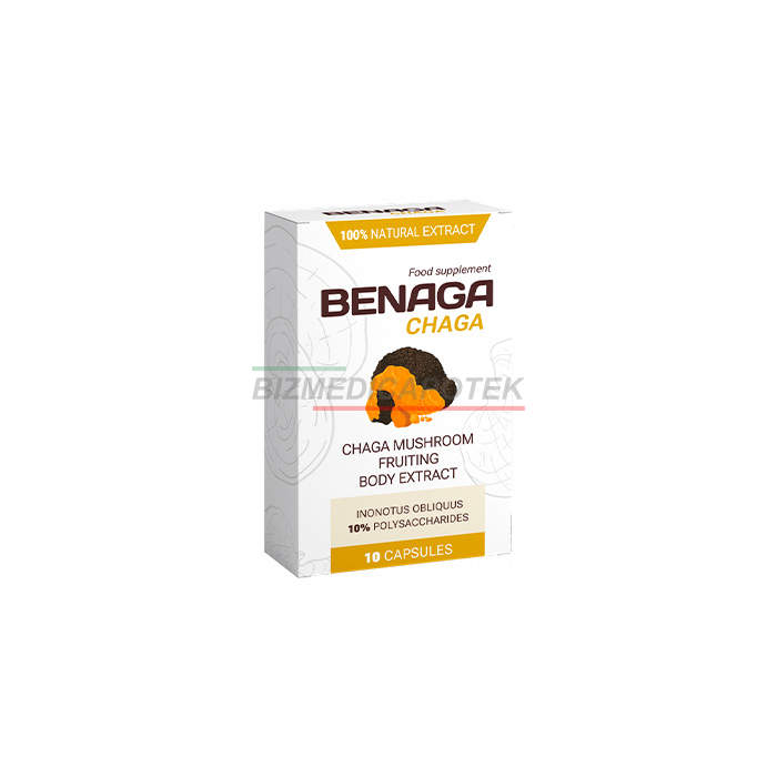 Benaga Chaga